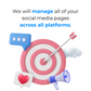 Social Media Management - Bundle